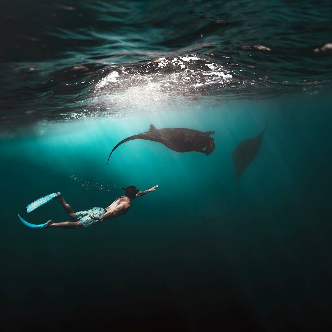 Snorkeling Di Nusa Penida